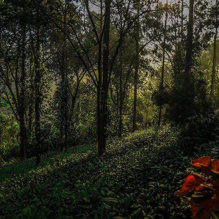 Southern Panorama Indriya Resorts & Spa Munnar Exterior foto