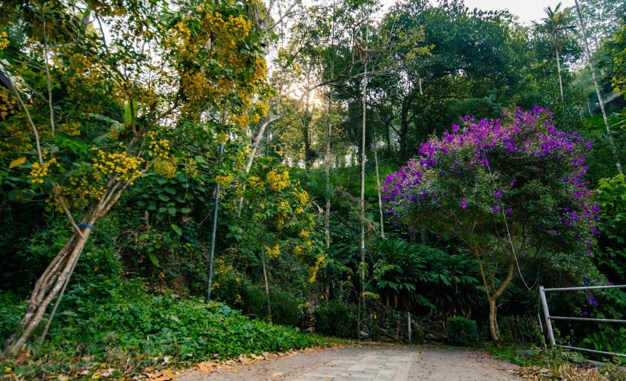 Southern Panorama Indriya Resorts & Spa Munnar Exterior foto