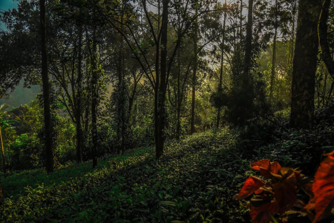 Southern Panorama Indriya Resorts & Spa Munnar Exterior foto
