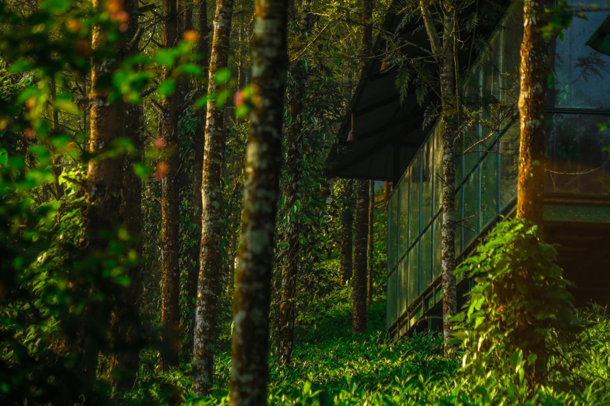 Southern Panorama Indriya Resorts & Spa Munnar Exterior foto